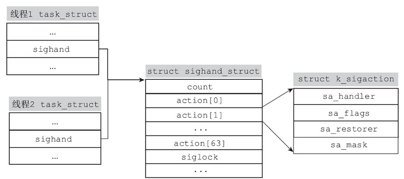 image-20250213150039270