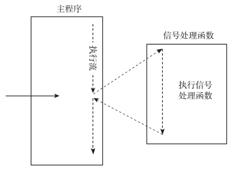 image-20250214113829908