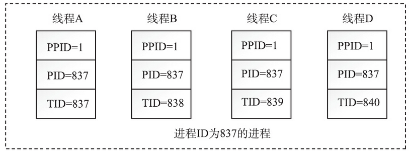 image-20250217105554968