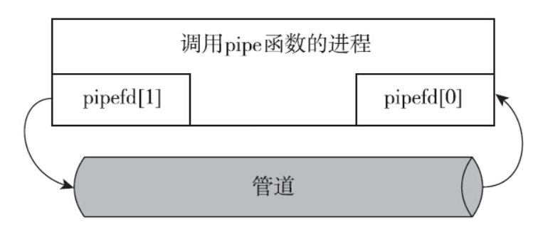 image-20250306134049548