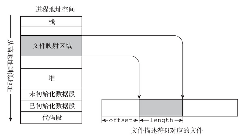 image-20250313113556044