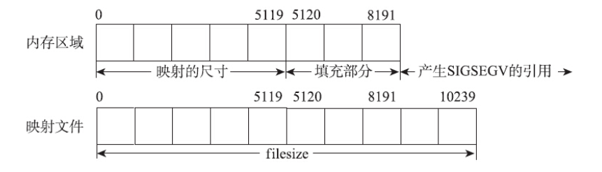 image-20250313113922745