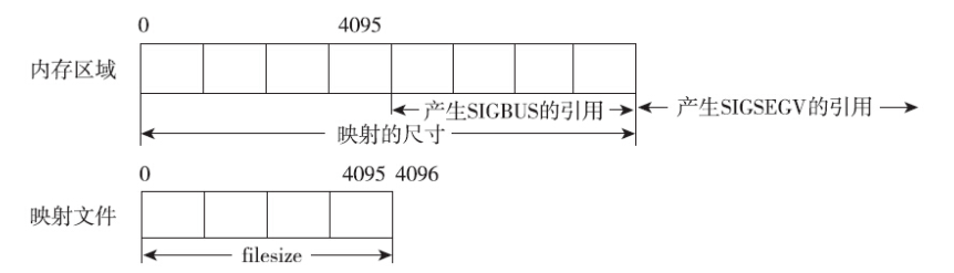 image-20250313114032573